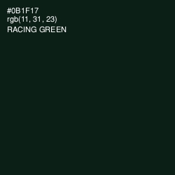 #0B1F17 - Racing Green Color Image